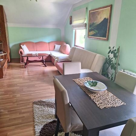 Apartman Sara Pale - Ski Centar Ravna Planina 外观 照片
