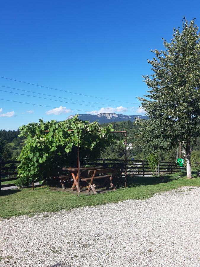 Apartman Sara Pale - Ski Centar Ravna Planina 外观 照片
