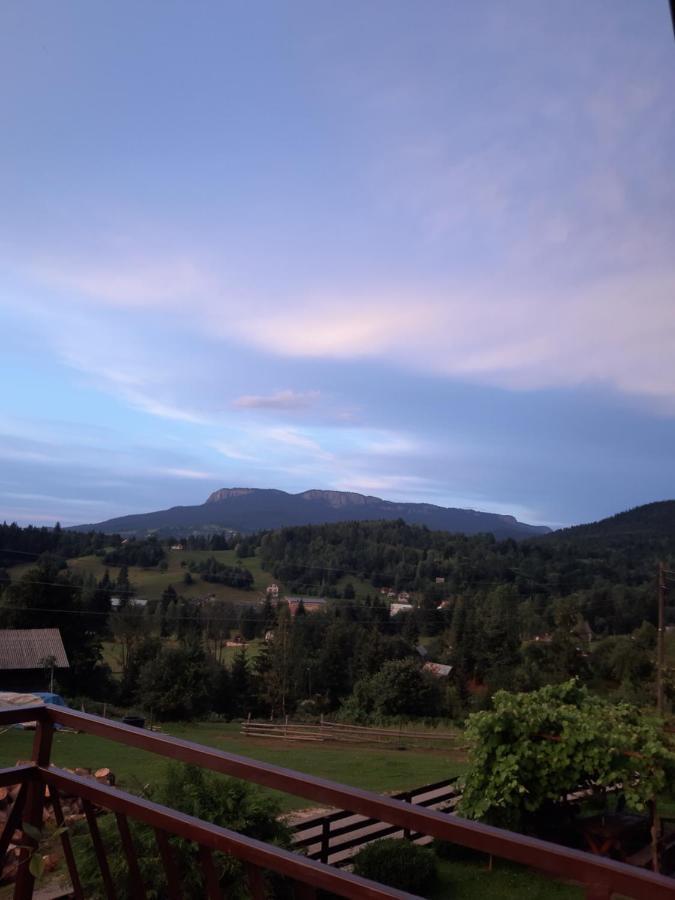 Apartman Sara Pale - Ski Centar Ravna Planina 外观 照片