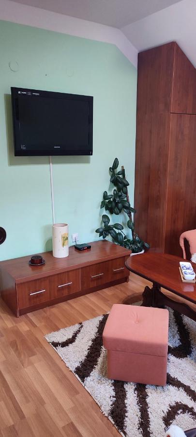 Apartman Sara Pale - Ski Centar Ravna Planina 外观 照片