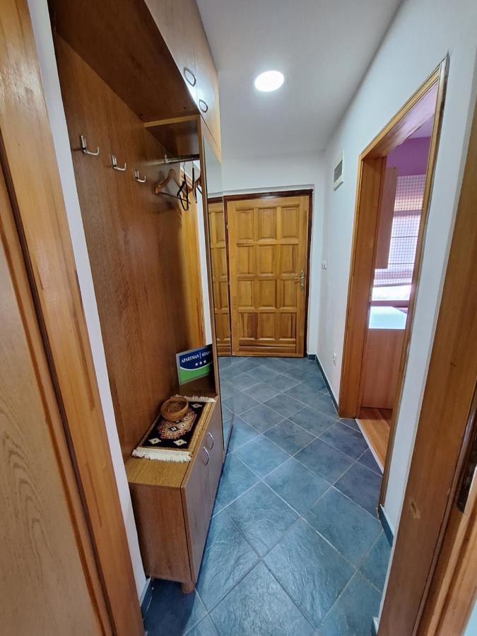 Apartman Sara Pale - Ski Centar Ravna Planina 外观 照片