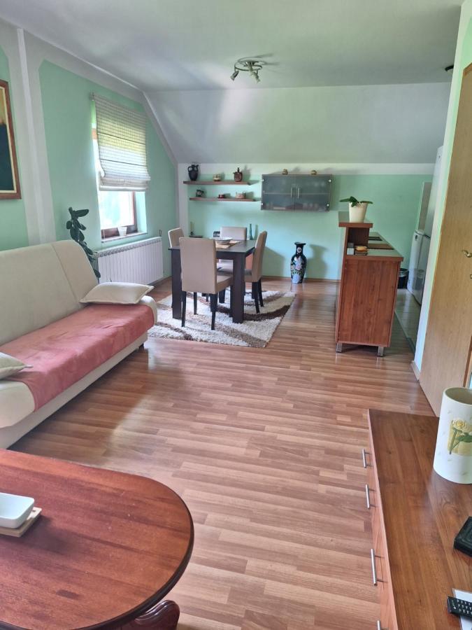 Apartman Sara Pale - Ski Centar Ravna Planina 外观 照片