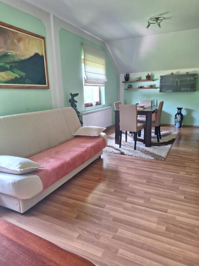 Apartman Sara Pale - Ski Centar Ravna Planina 外观 照片