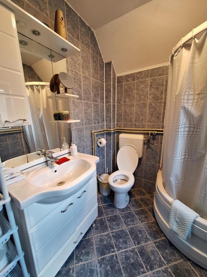 Apartman Sara Pale - Ski Centar Ravna Planina 外观 照片