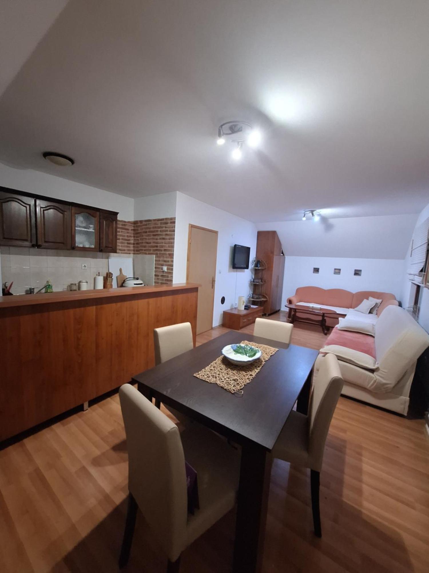 Apartman Sara Pale - Ski Centar Ravna Planina 外观 照片