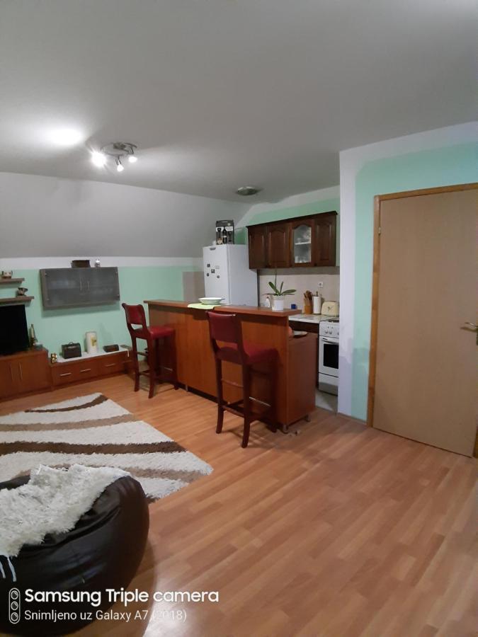 Apartman Sara Pale - Ski Centar Ravna Planina 外观 照片