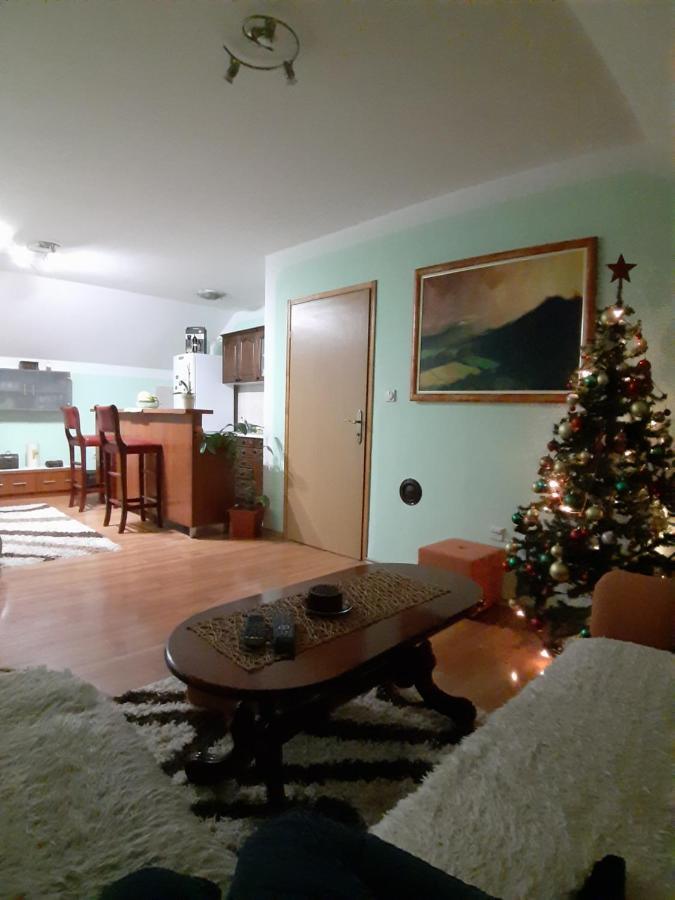 Apartman Sara Pale - Ski Centar Ravna Planina 外观 照片